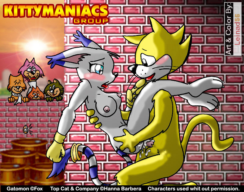 Top Cat page 3 full