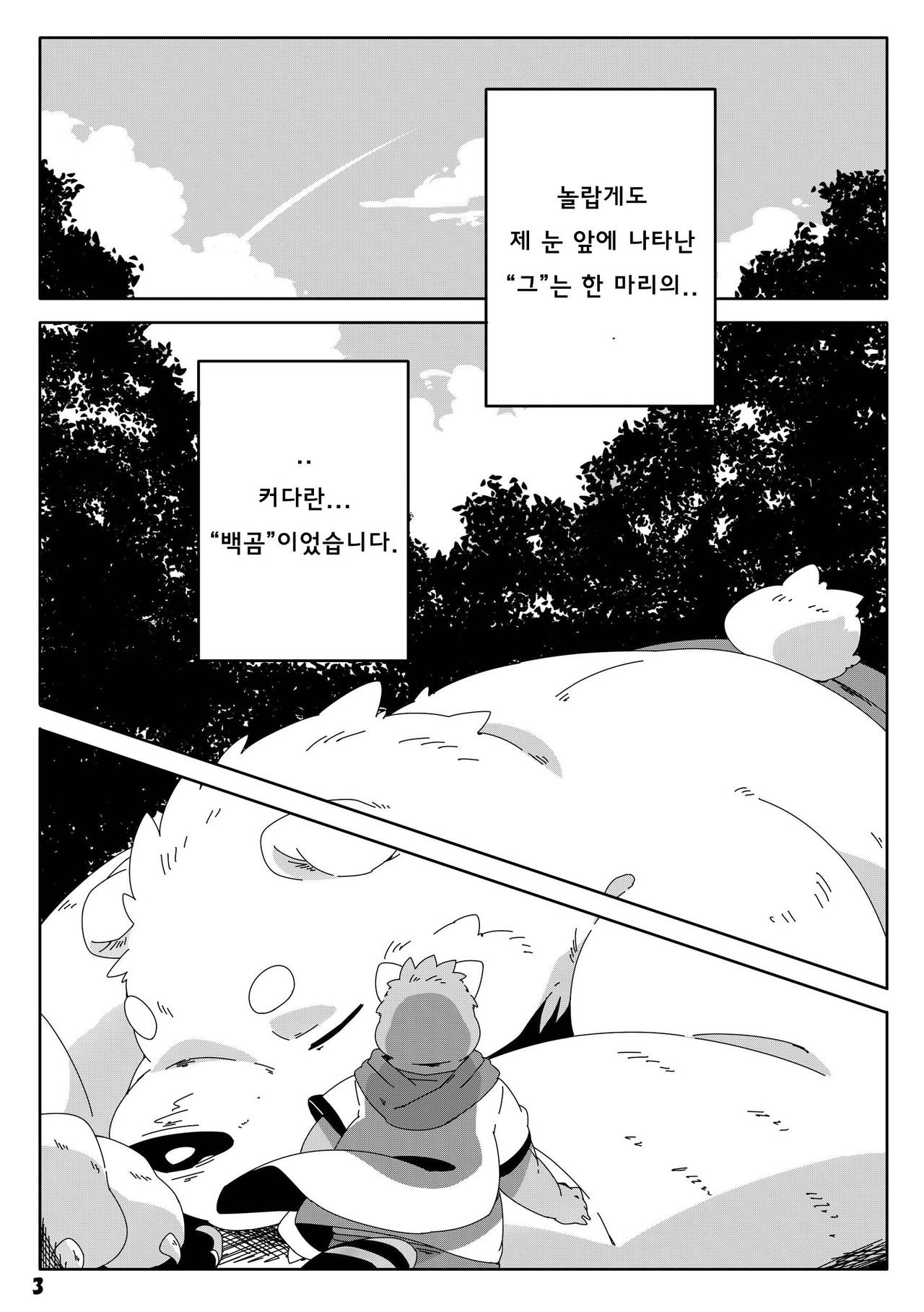 Shirokuma Kiss page 3 full