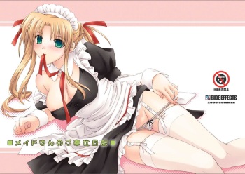 Maid-san no Gohoushi Nikki cover