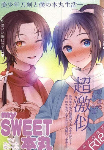 my SWEET Honmaru cover