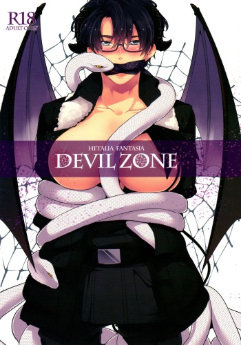 DEVIL ZONE cover