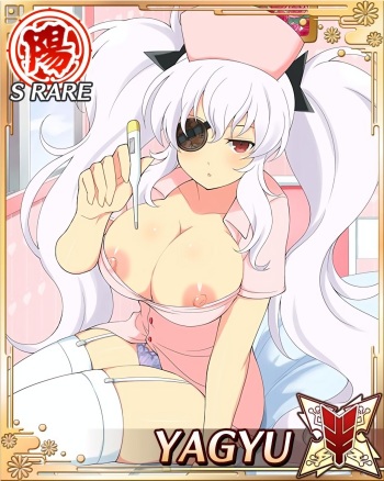 EsareRaven's Senran Kagura Card Edits cover