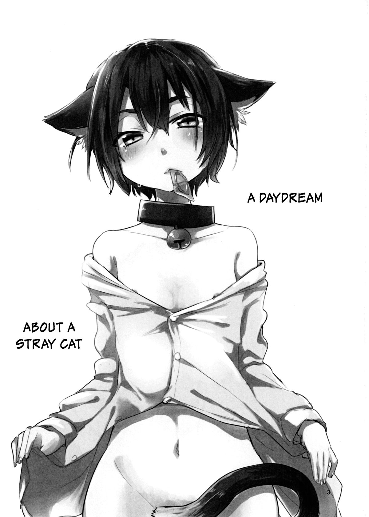 Nora Neko to Hakuchuumu page 2 full