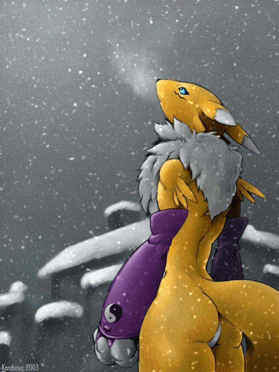 Artist - Karabiner page 2 full