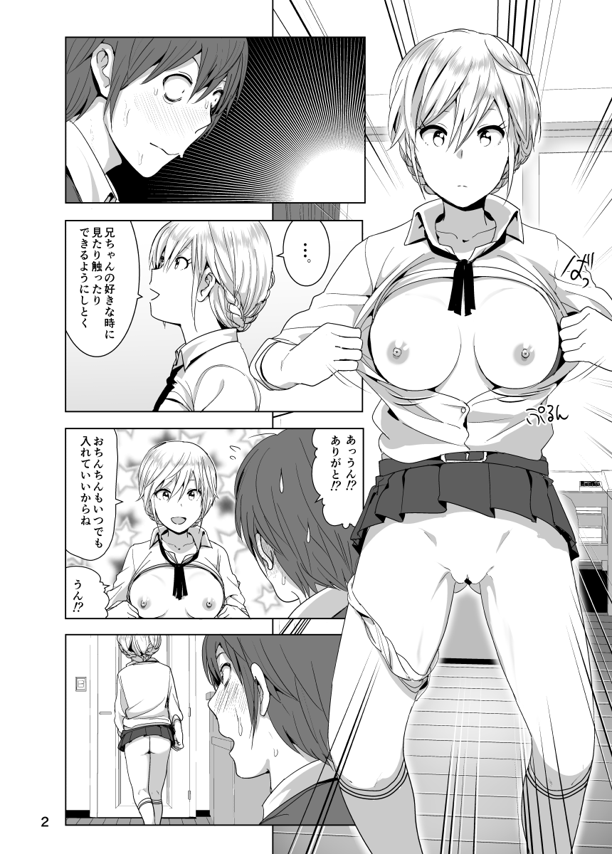 Imouto no Oppai ga Marudashi Datta Hanashi 2 page 3 full