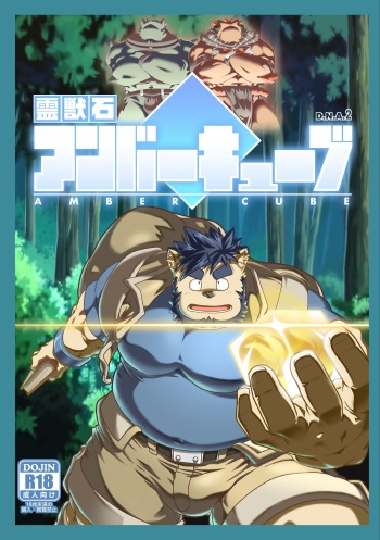 Reijuu Ishi Amber Cube cover