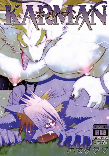 KARMAN cover