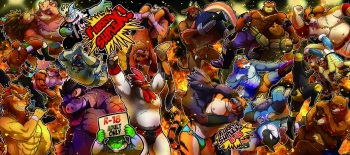 FURRY SUPLEX! cover