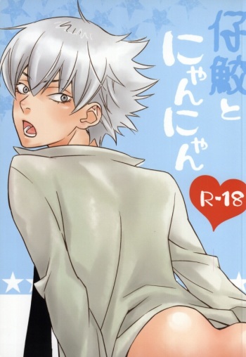 Shisame to Nyan Nyan cover