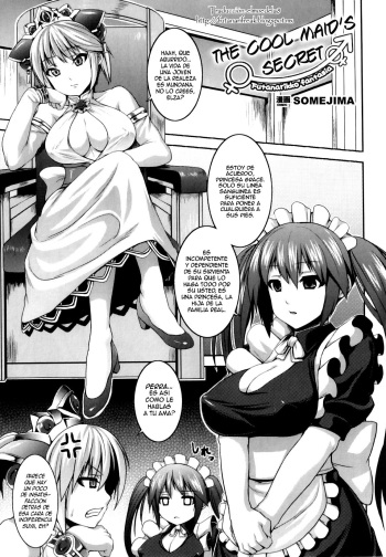 Muttsuri Maid no Himitsu cover