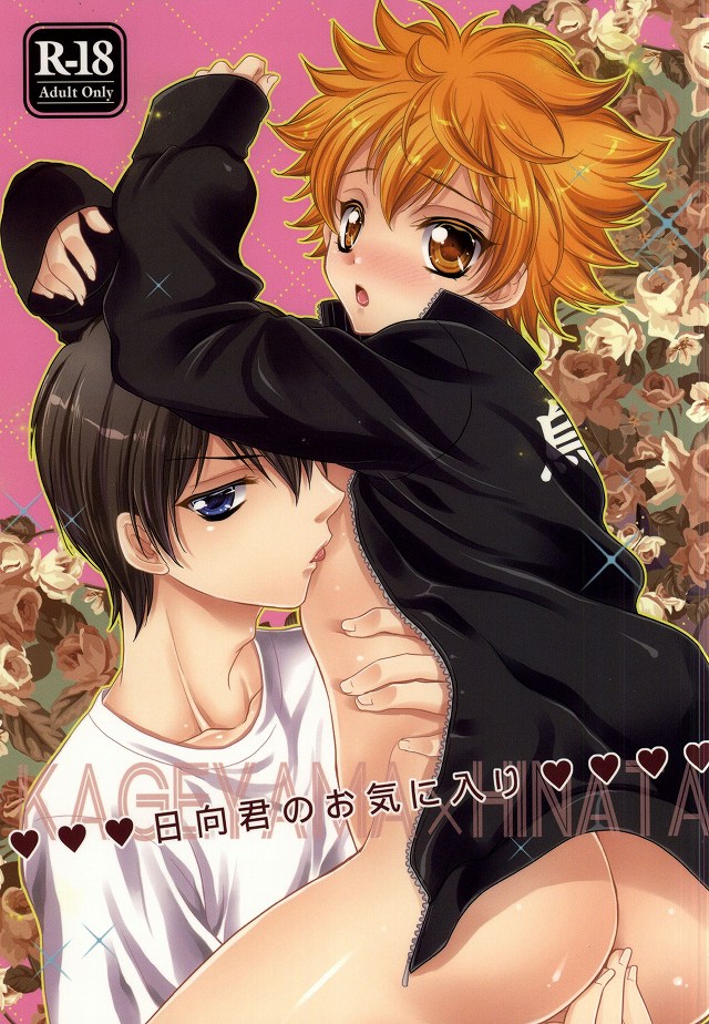 Hinata-kun no Okiniiri page 1 full