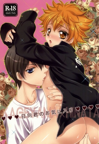 Hinata-kun no Okiniiri cover