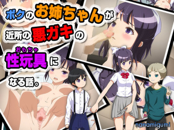 Boku no Oneechan ga Kinjo no Aku Gaki no Sei Omocha ni Naru Hanashi. cover