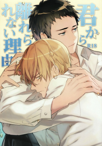 Kimi Kara Hanarerarenai Riyuu cover