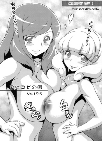 Yorokobi no Kuni Vol. 17.5 cover