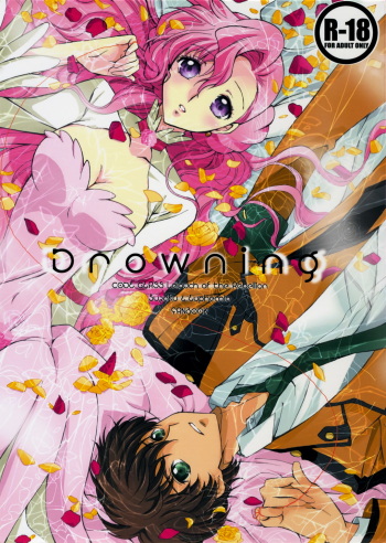 Drowning cover