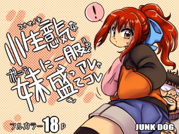 Konamaiki na Poni-te Imouto ni - Buku Motte are ya kore cover