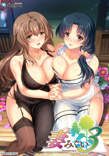 Tsumamigui 3 cover