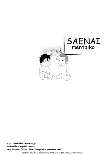 Saenai cover