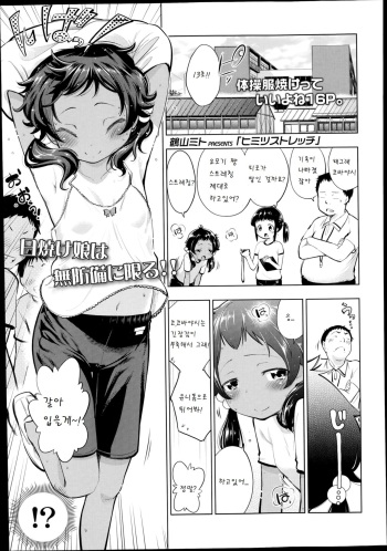 Himitsu stretch cover