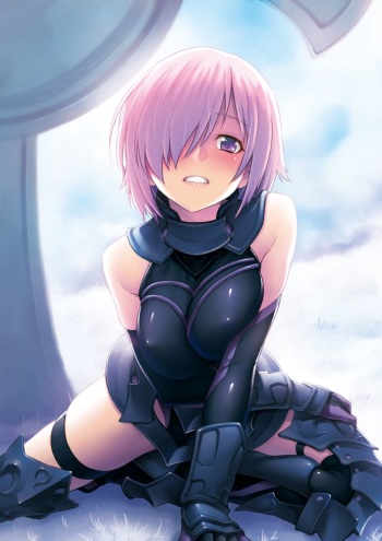 Shielder cover