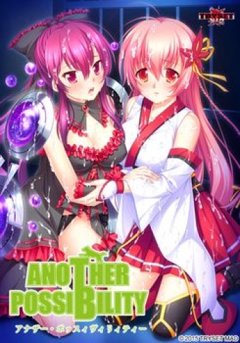ANOTHER POSSIBILITY cover