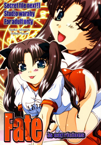 SECRET FILE NEXT 11 - Fate is capricious cover