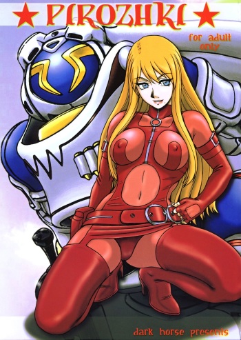 PIROZHKI cover