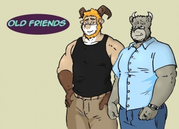 Old friends cover