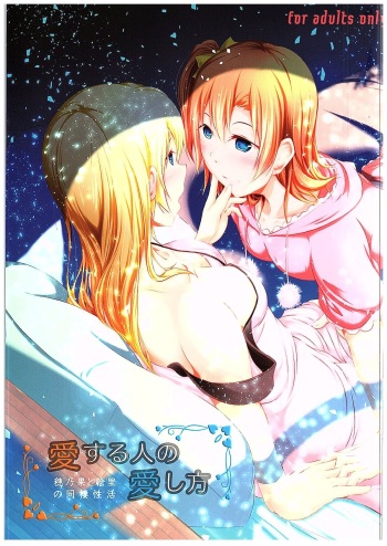 Aisuru Hito e no Aisikata cover