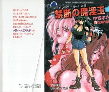 Treasure Hunter Sara - Kindan no Maingyoku cover