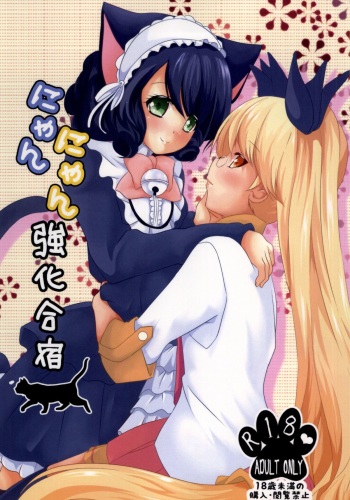 Nyan Nyan Kyoukagasshuku cover