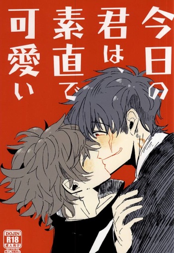 Kyou no Kimi wa, Sunao de Kawaii cover
