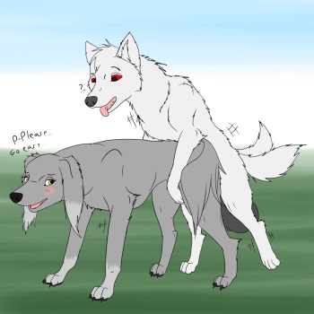 Not So Shy cover