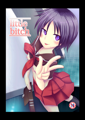 Little Bitch cover