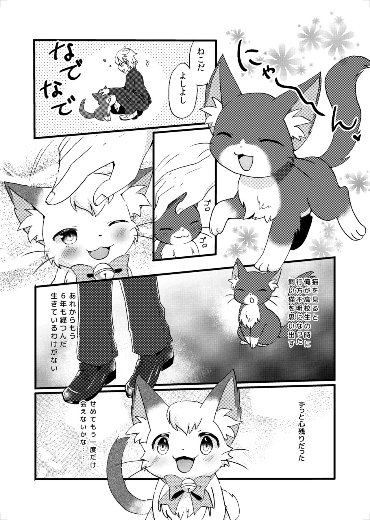 Nekomata no Tamaki-chan page 4 full