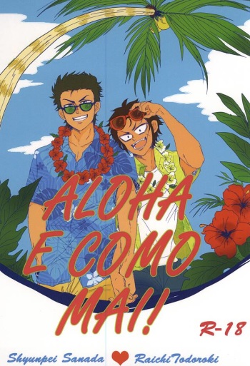 ALOHA E COMO MAI! cover