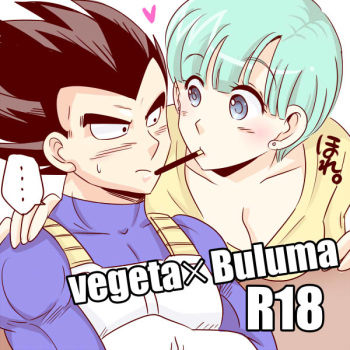 Vegeta x Bulma cover
