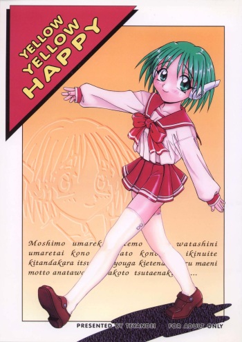 YELLOW YELLOW HAPPY cover