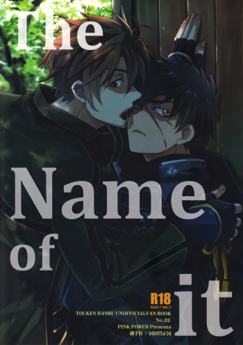 The Name of it cover