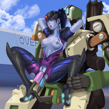 Overwatch cover