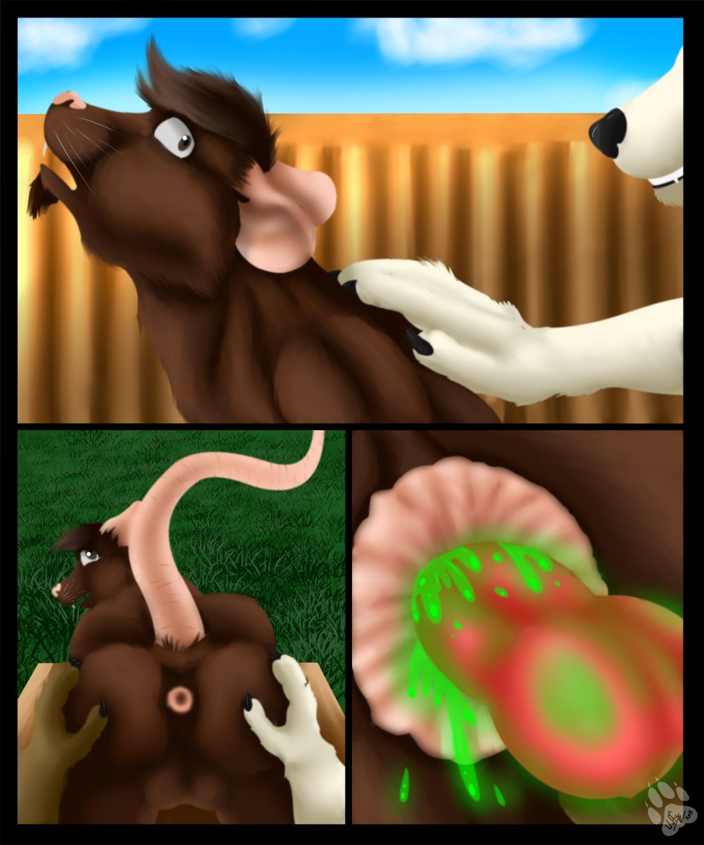 RUMP! page 5 full
