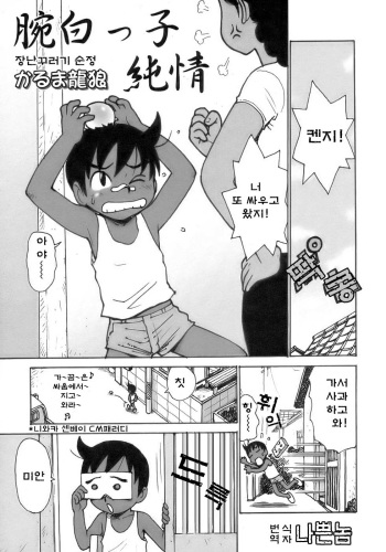 Wanpakukko Junjou cover