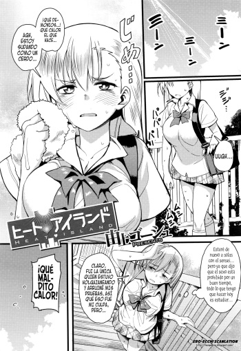 Heat Island cover