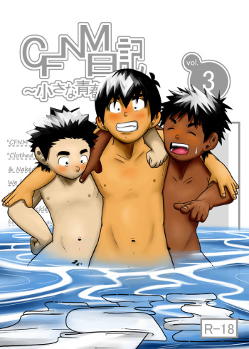 CFNM Nikki ~Chiisana Seishun Monogatari~ Vol. 3 cover