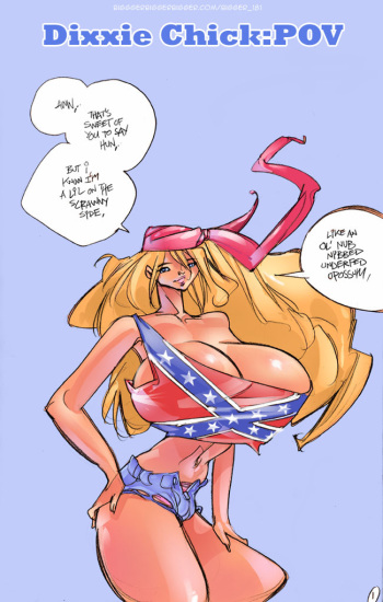 Dixie Chick: POV cover