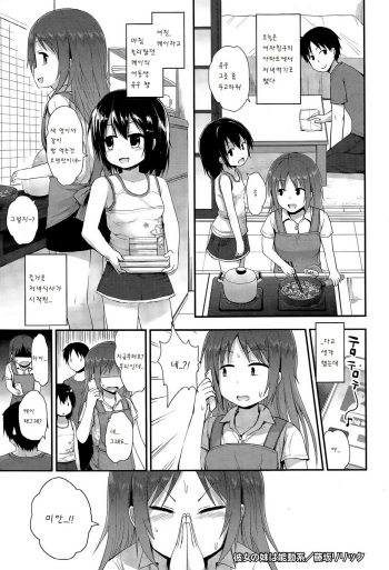 Kanojo no Imouto wa noudoukei cover