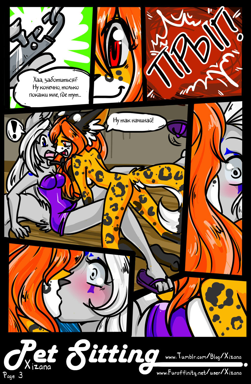 Pet Sitting page 4 full