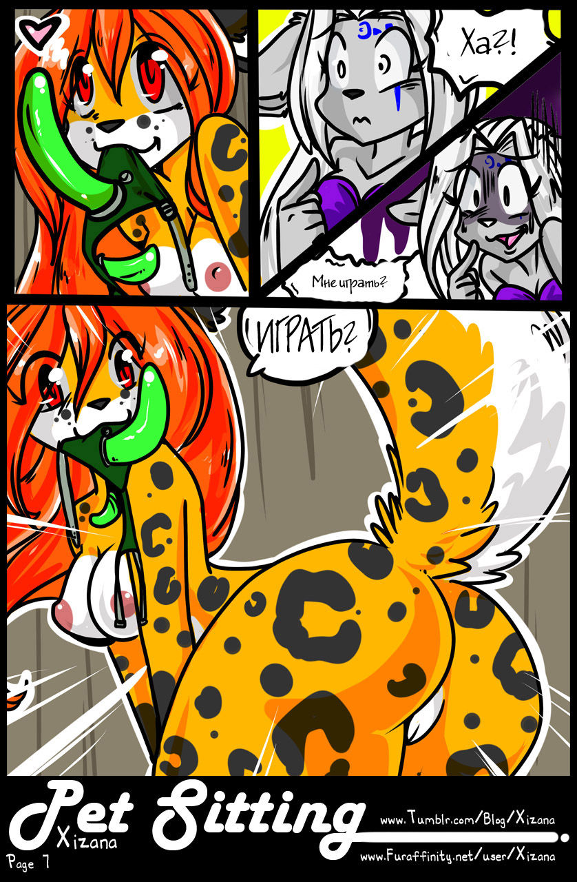 Pet Sitting page 8 full