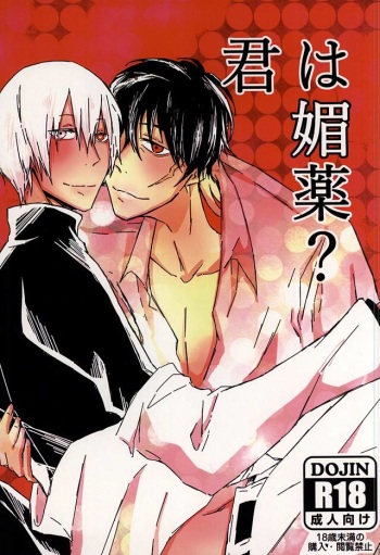 Kimi wa Biyaku? cover